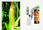 水果蔬菜画册
