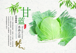 水果蔬菜画册