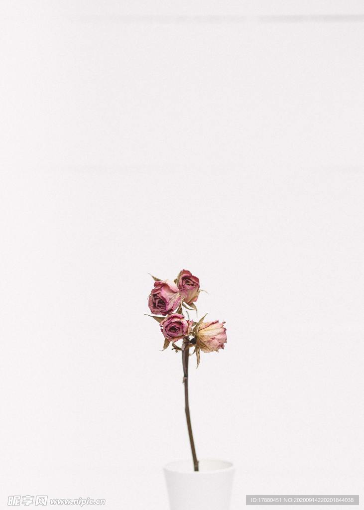 插花