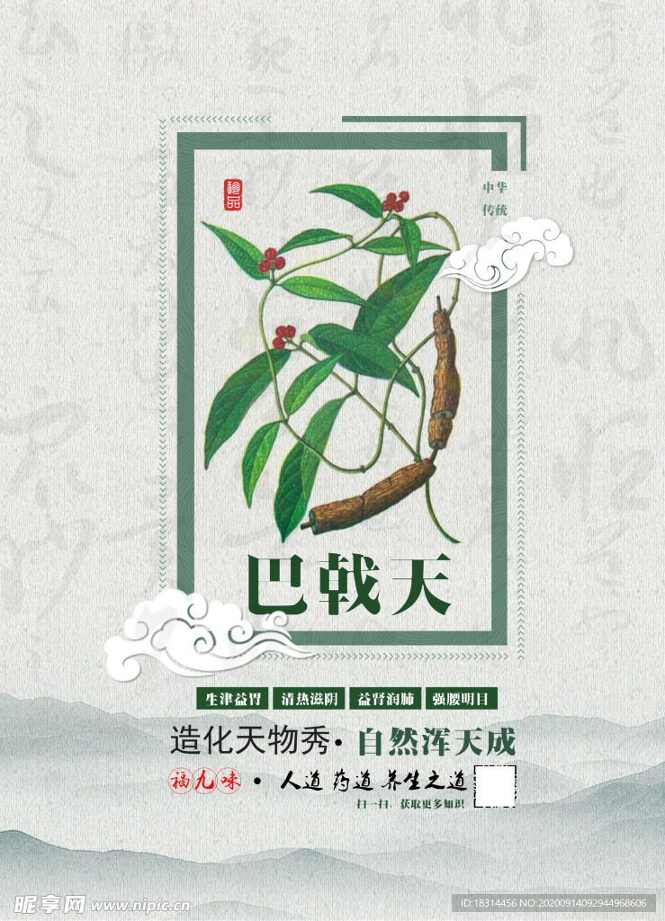 巴戟天