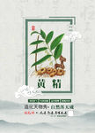 黄精