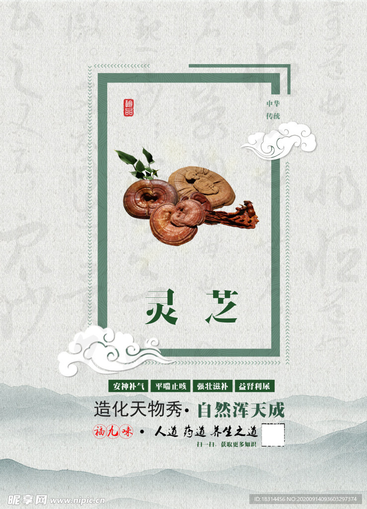 灵芝