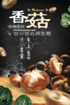 原生态香菇海报