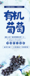 有机葡萄展架