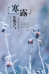 寒露海报