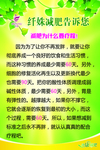 纤姝