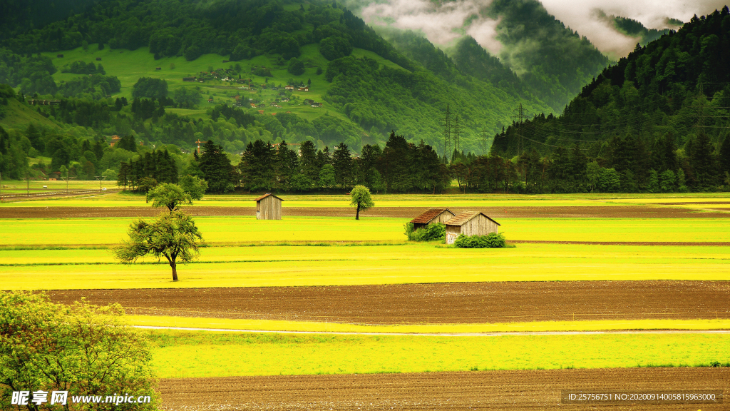 草地风景图