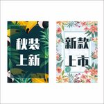 秋装上新