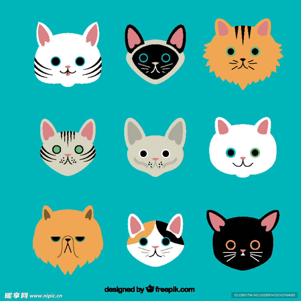 猫品种