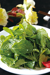 爽口食香菜