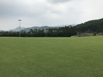 高尔夫