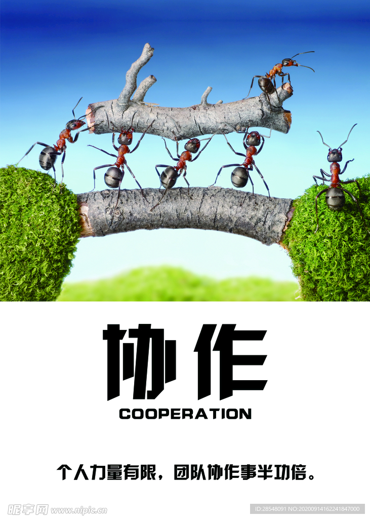 企业文化展板协作