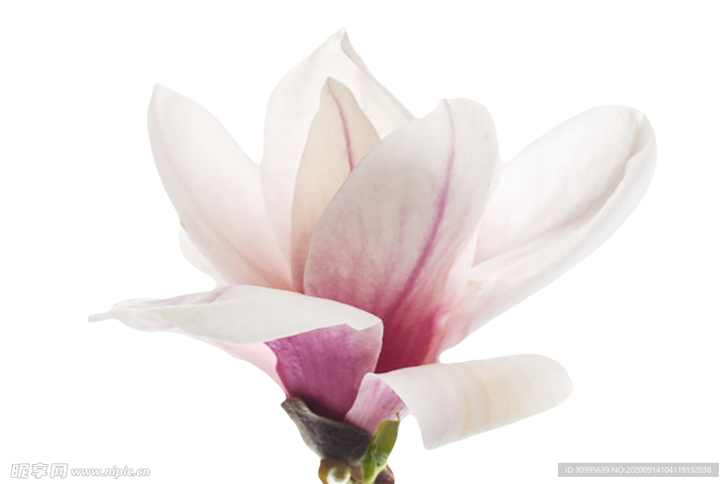 木纹