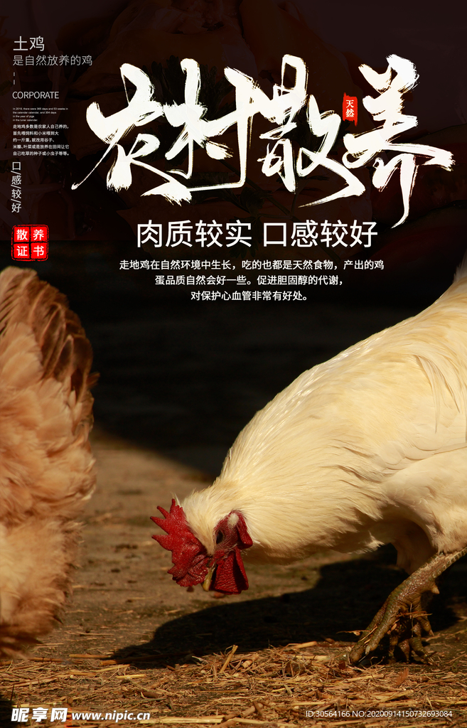 散养鸡活动宣传海报素材图片