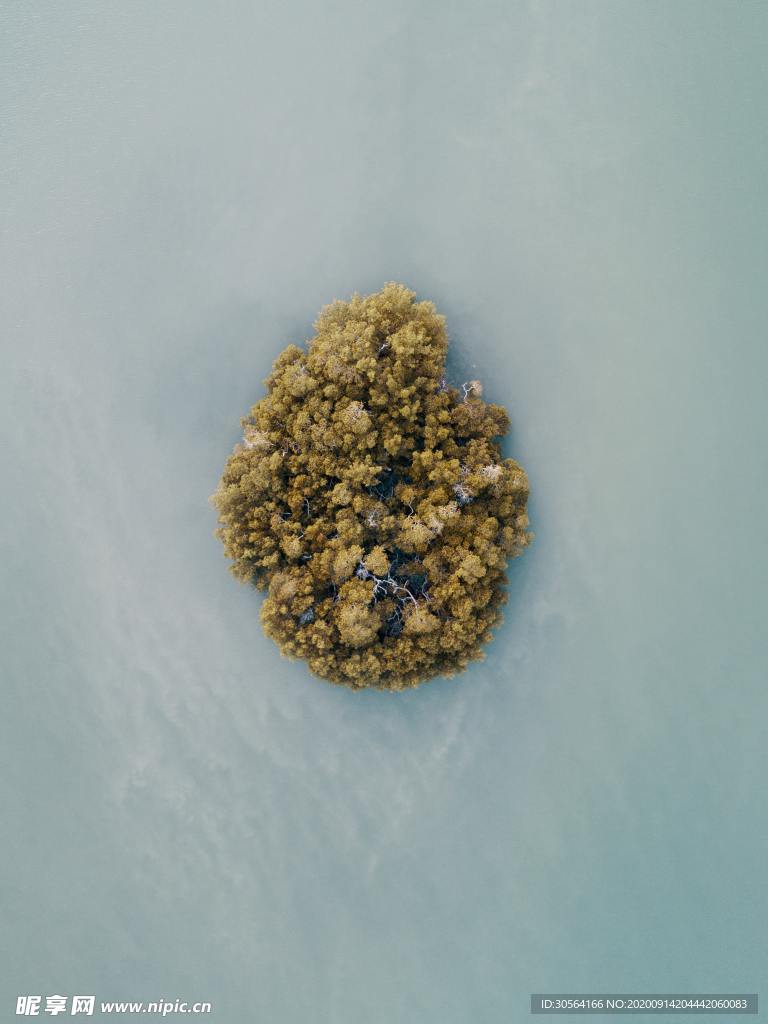孤岛丛林大海留白简约背景