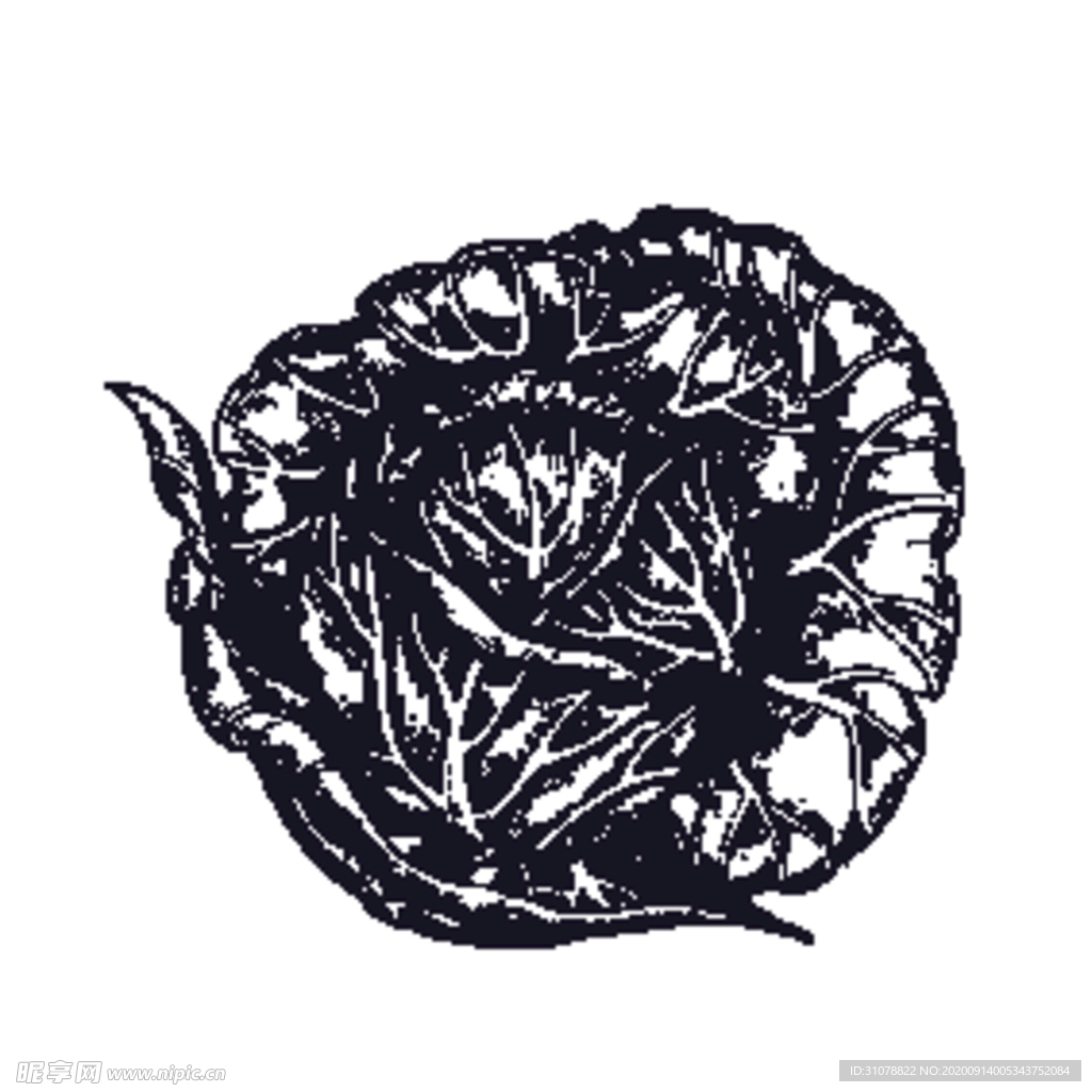 餐饮食物插画元素