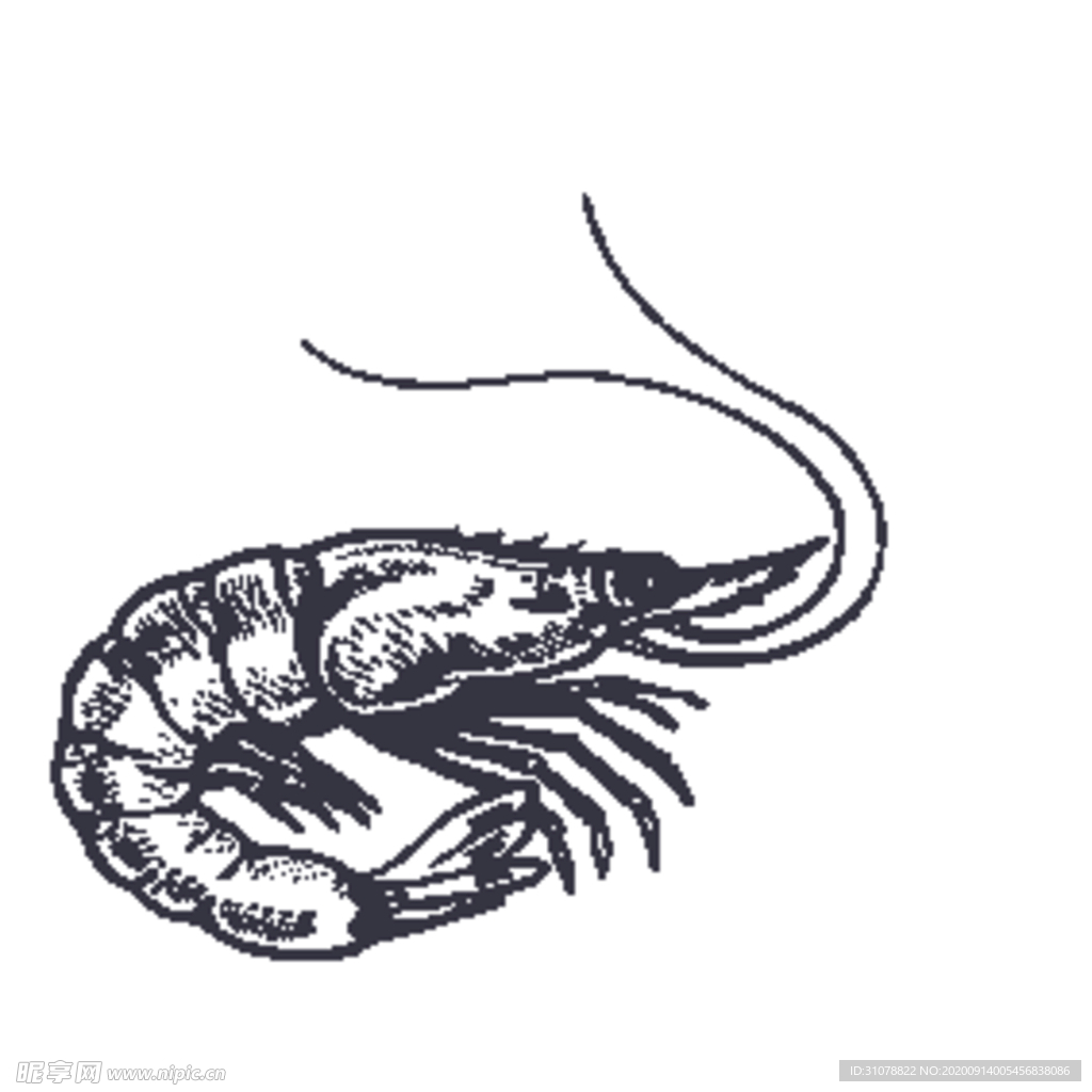 餐饮食物插画元素