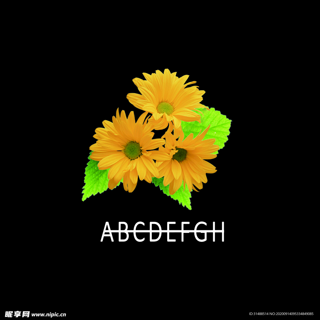 小菊花