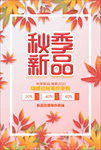 秋季上新