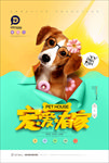 宠物海报