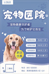 宠物海报