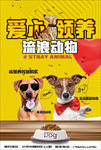 宠物海报