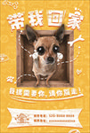 宠物海报