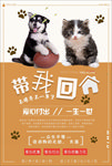 宠物海报