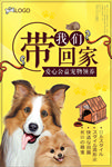 宠物海报