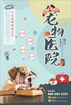 宠物海报