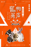 宠物海报
