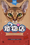 宠物海报