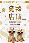宠物海报