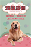 宠物海报