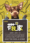 宠物海报