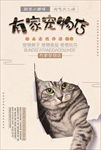 宠物海报