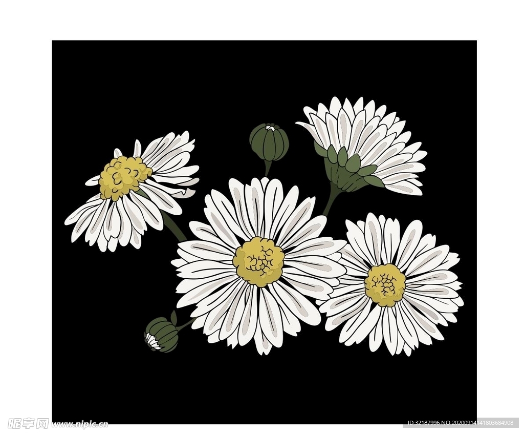 菊花矢量图