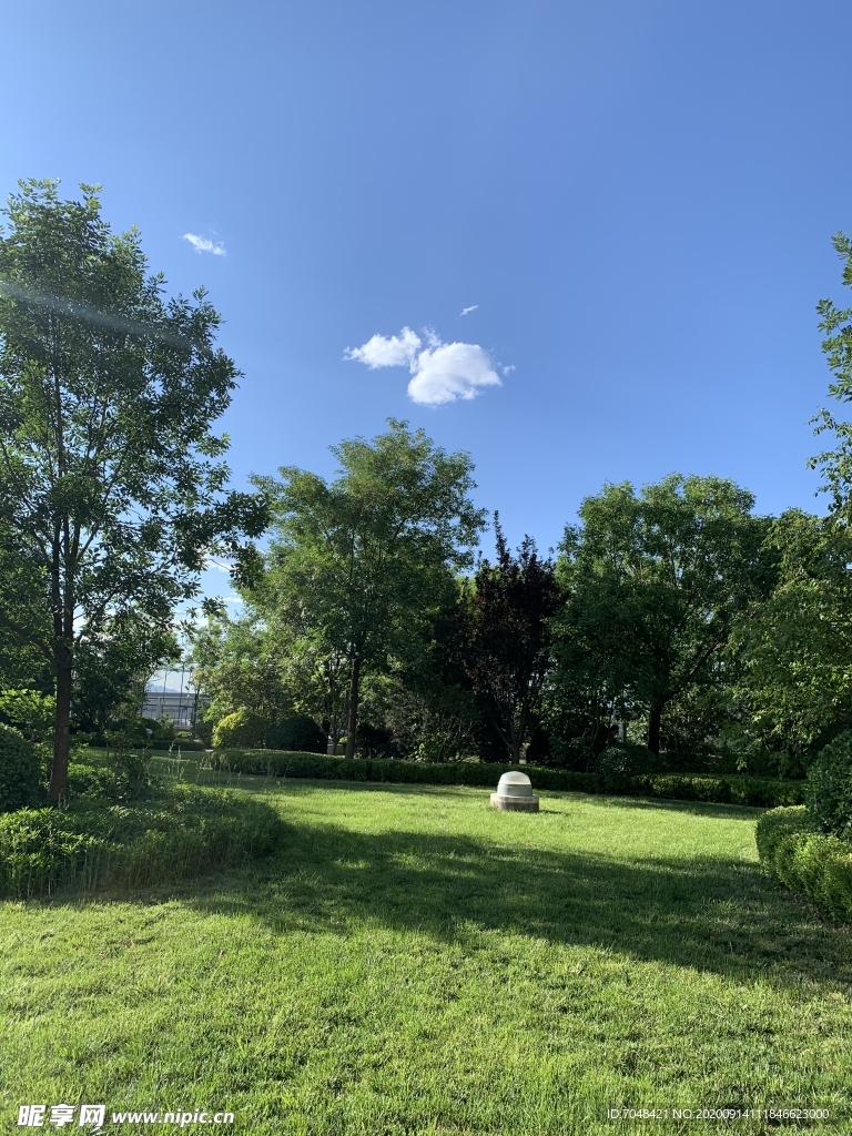 蓝天白云绿树绿草地