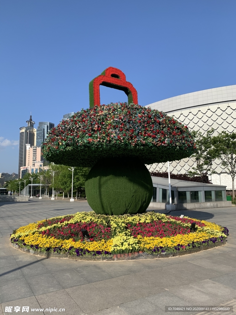 大花盆 盆景