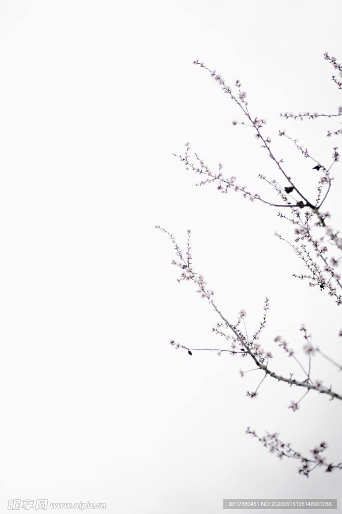 插花