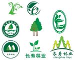 林业 树苗