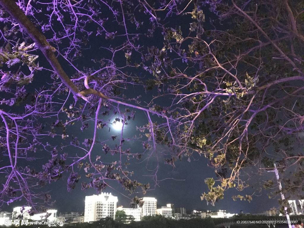 三亚河景   夜景