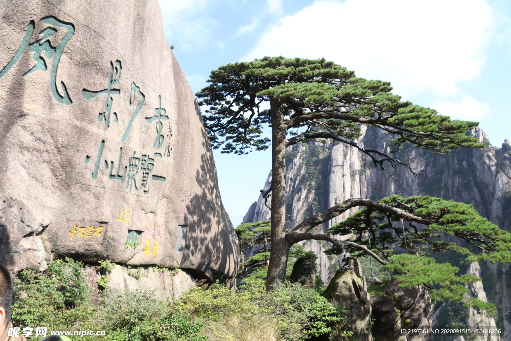 黄山旅游 黄山 黄山旅游海报