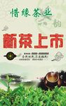 新茶上市