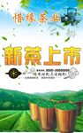 新茶上市