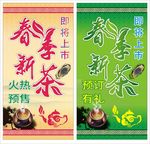 春茶上市