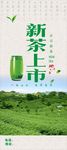 新茶上市