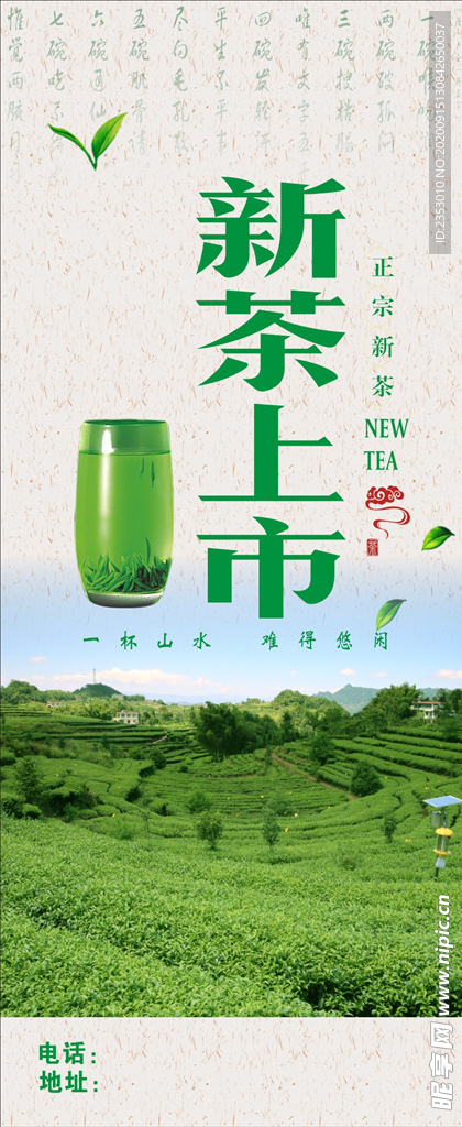 新茶上市