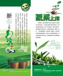 新茶上市
