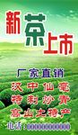 新茶上市